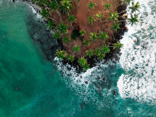 Mirissa Day Tour