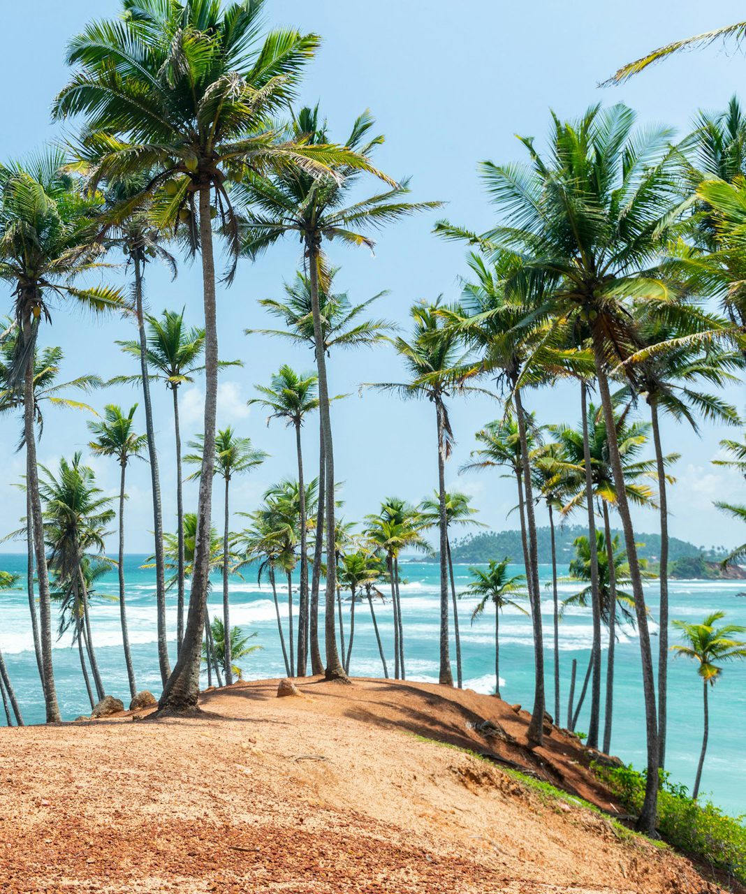 Thrilling Epic Escapes